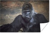 Poster Portret afbeelding van een zwarte Gorilla - 120x80 cm