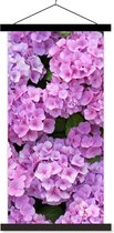Posterhanger incl. Poster 40x80 cm - Schoolplaat - Bloemen - Hortensia - Struik - Roze - Bloemblaadjes - Textielposter - Zwarte latten