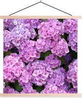 Posterhanger incl. Poster 60x60 cm - Schoolplaat - Bloemen - Hortensia - Struik - Roze - Bloemblaadjes - Textielposter - Blanke latten
