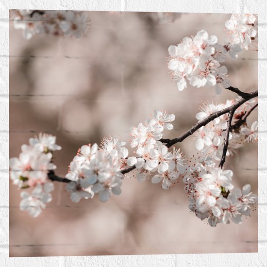 WallClassics - Muursticker - Witte Bloementjes in de Boom - 50x50 cm Foto op Muursticker