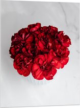 Acrylglas - Boeket Rode Bloemen op Witte Achtergrond - 75x100 cm Foto op Acrylglas (Met Ophangsysteem)