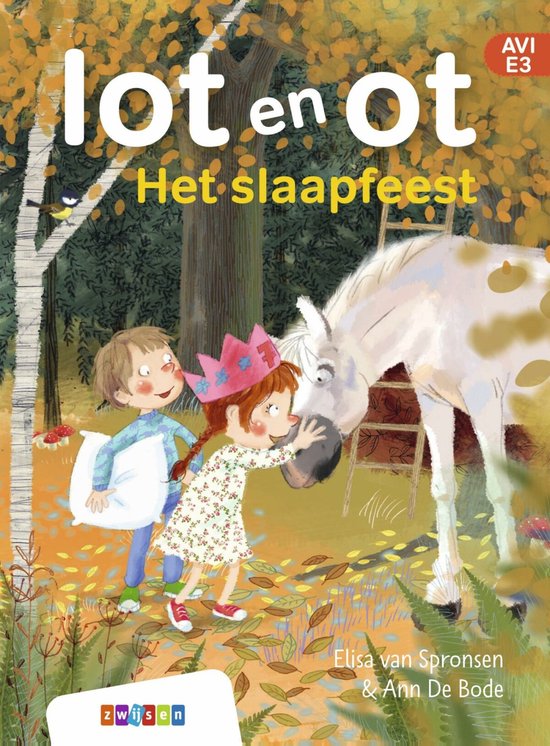 lot en ot - Het slaapfeest - cover