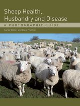 Sheep Health Husbandry & Disease