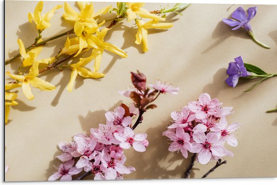 Dibond - Geel, Roze en Paarse Bloemen in Verschillende Soorten - 75x50 cm Foto op Aluminium (Met Ophangsysteem)