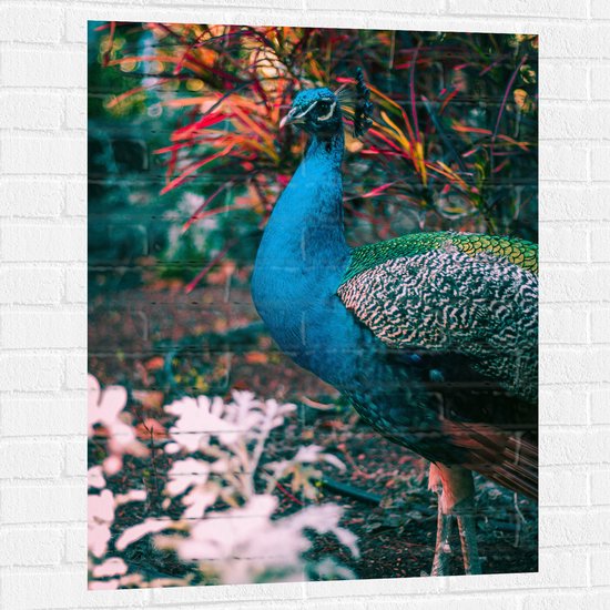 Muursticker - Mooie pauw met Gekleurde Achtergrond - 75x100 cm Foto op Muursticker
