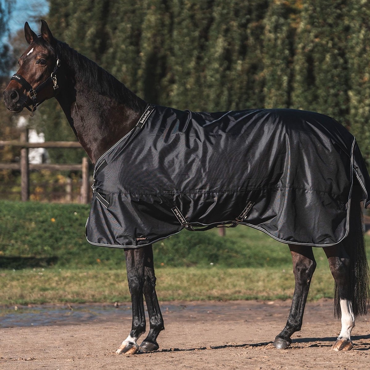 Back on Track Obsidian Uitloopdeken 0 gr. 155-205 cm met Nekhoes