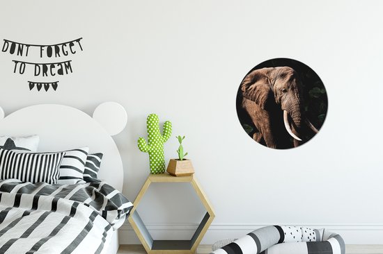 Cercle mural - Aluminium - Éléphant - Animaux - Dents - ⌀ 30 cm