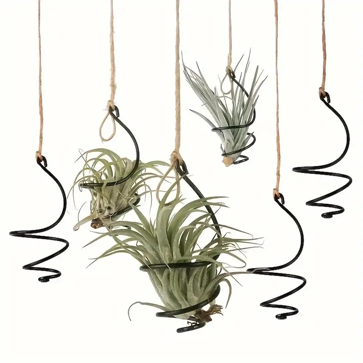 Set van 6 stuks hangende luchtplantenhouder, luchtplantenhanger met jute touwen, grondloze luchtplantenstandaard, Tillandsia succulente displaycontainer voor thuiskantoor decor