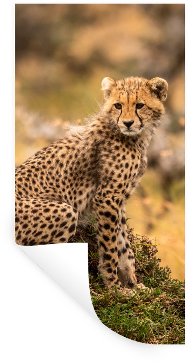 Muurstickers - Sticker Folie - Luipaard - Bos - Dier - 80x160 cm - Plakfolie - Muursticker