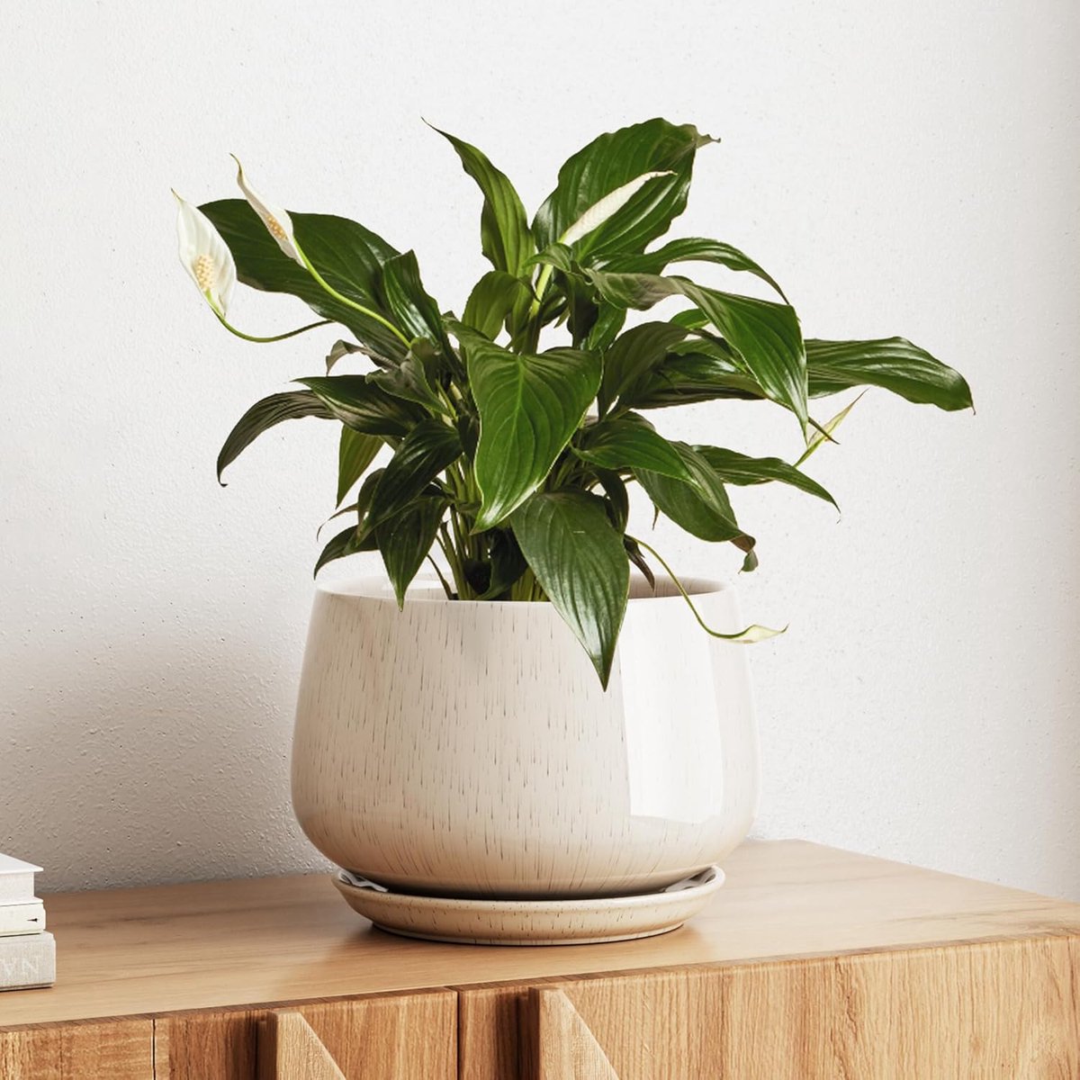 TAUCI Keramische Bloempot 25 cm, Plantenpot met Afwateringsgat en Schotel, Afgerond Design, voor Woonkamer, Kantoor en Kamerplanten, Reactief Beige