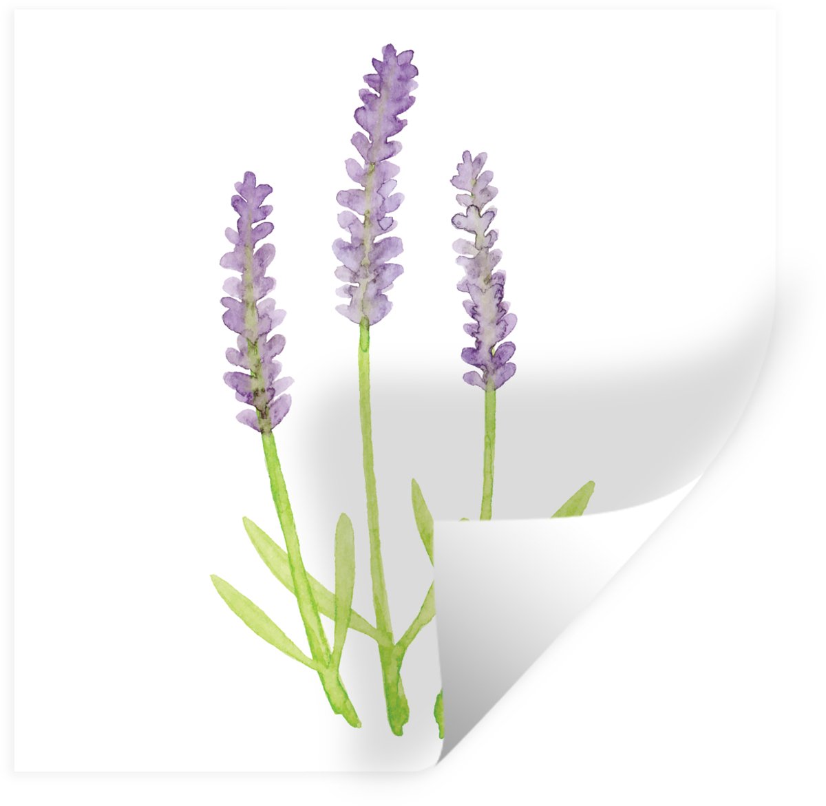 Muurstickers - Sticker Folie - Lavendel - Aquarel - Planten - 50x50 cm - Plakfolie - Muurs