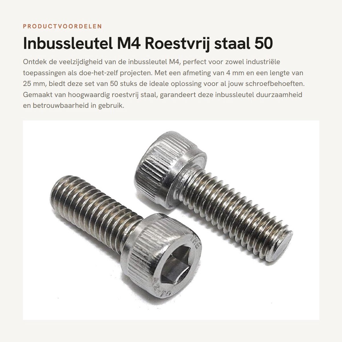 Dailygoods- Inbussleutel M4 - Roestvrij Staal A2-70 - 50 Stuks - Voor Industrie/Doe-Het-Zelvers - Hoogwaardige Kwaliteit - Klantgerichte Verpakking - Sleutel