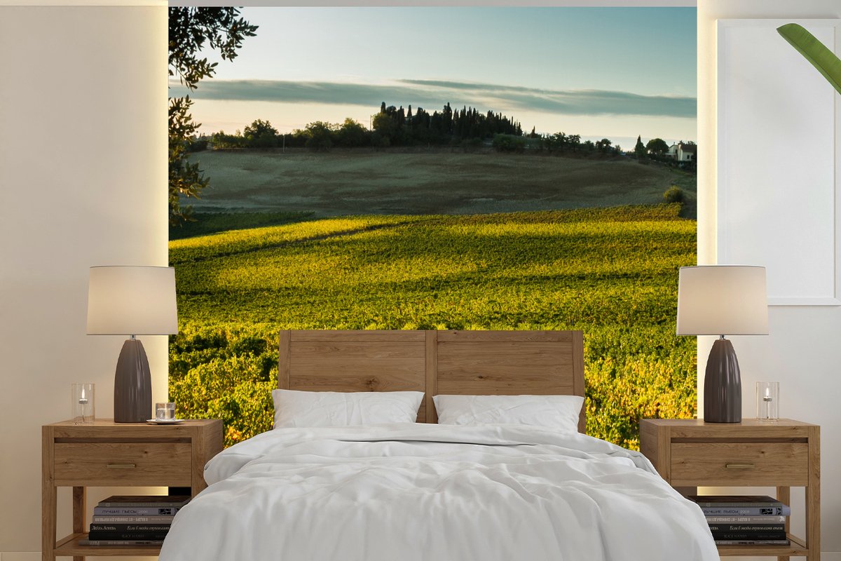 Behang - Fotobehang Toscane - Landschap - Wijn - Breedte 280 cm x hoogte 280 cm