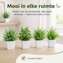 Vier compacte kunstplanten in witte vierkante potten staan op een tafel. Ze hebben verschillende soorten groene bladeren.