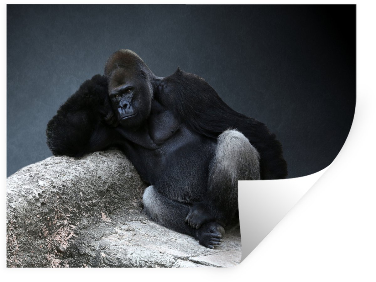 Muurstickers - Sticker Folie - Een Gorilla die aan het relaxen is op een steen - 40x30 cm 