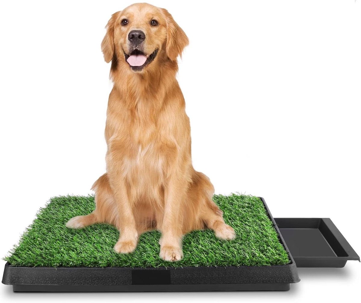 Hondentoilet - Puppytoilet Trainingsmat - Zindelijkheid Training - Groot Formaat - 63 x 50 cm - Blauw