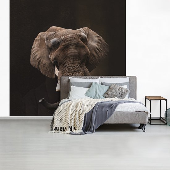 Fond d' écran - mur Portrait Papier peint photo - Elephant - Art - Largeur 260 cm x Hauteur 260 cm