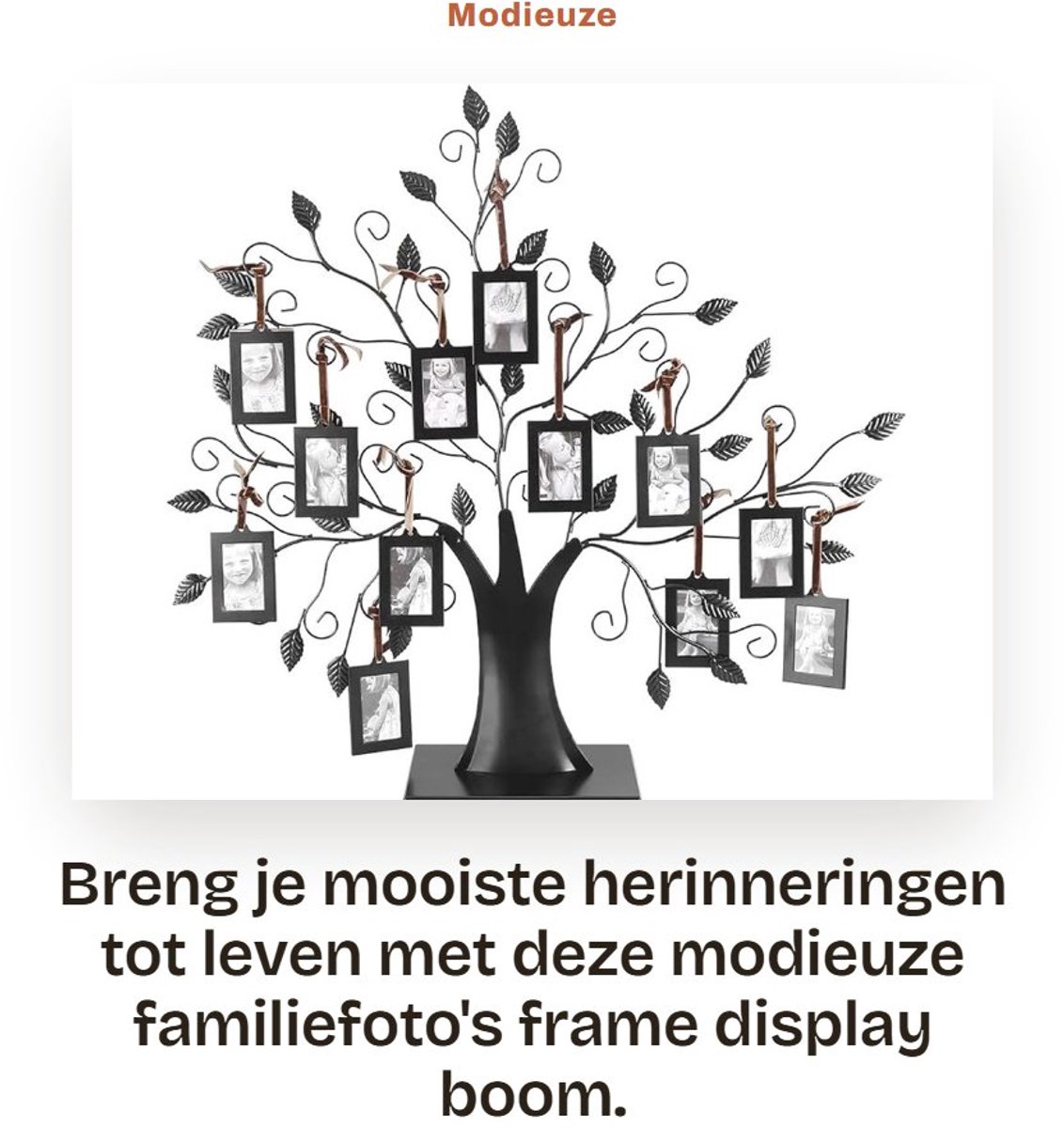 Dailygoods- Fotolijsten 12 stuks - Vrijstaande Tafeldecoratie - Hoogwaardig Metaal - Duurzaam - Modieuze Boomdesign - Corrosiebestendig - Fotolijstenset