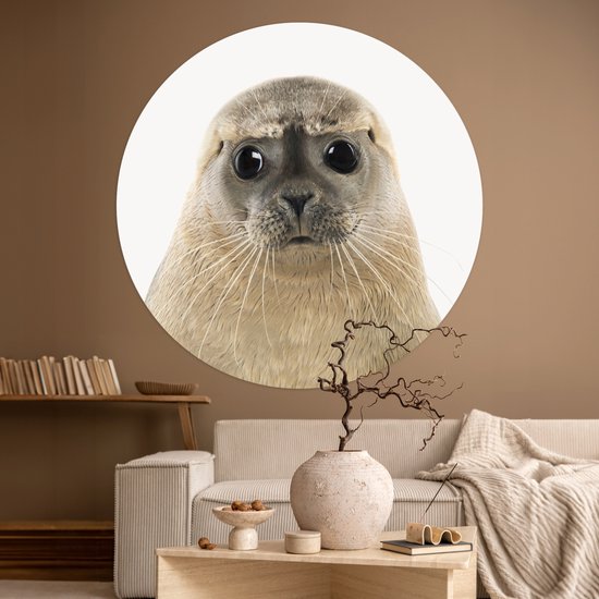 Papier peint Circle - Phoque - Beige - Animaux - ⌀ 120 cm - Wall Circle XXL