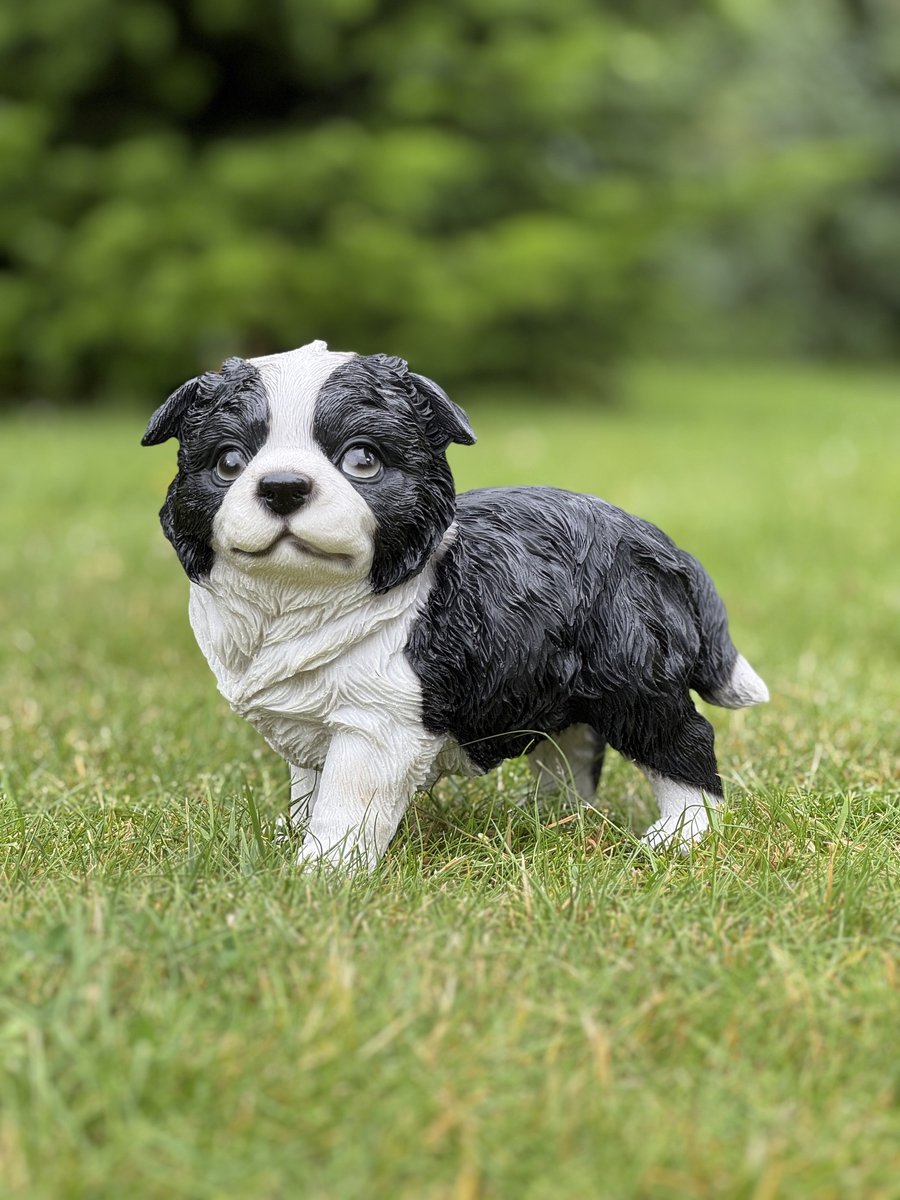 Border Collie pup 20cm hoog - Decoratief beeld - Dierenbeeld - Hond - Cadeau - Geschenk - Verjaardag - Kerst - Nieuwjaar - Vaderdag -Moederdag - Valentijn