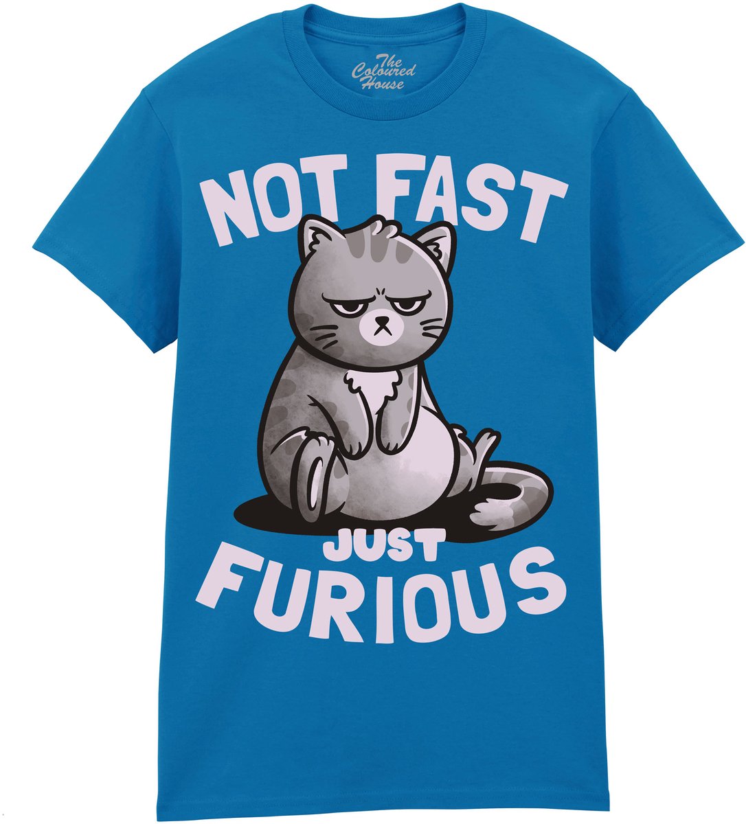 Kat Not Fast Just Furious The Coloured House T-shirt 4XL