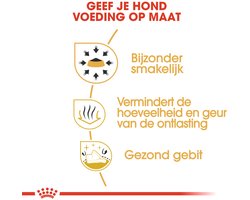 Royal Canin Chihuahua Adult - Hondenvoer - 1,5kg - Volwassen Chihuahua