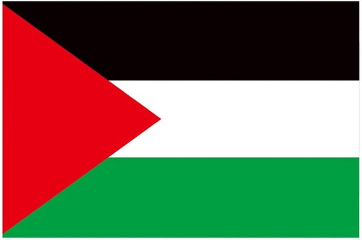 Palestijnse Vlag 1ft x 1ft - Dubbel Gestikte Vlag - Polyester - Messing Doorvoertules - Buitendecoratie - Lichtgewicht en Duurzaam - Landvlag