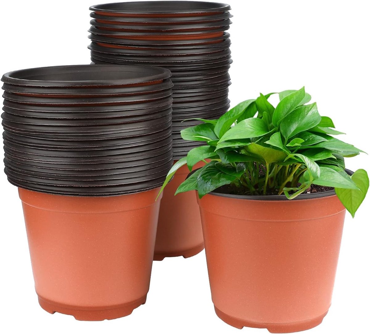 50 Stuks 15 cm Zachte Plastic Plant Potjes voor Zaailingen, Tuinieren en Plantenverzorging