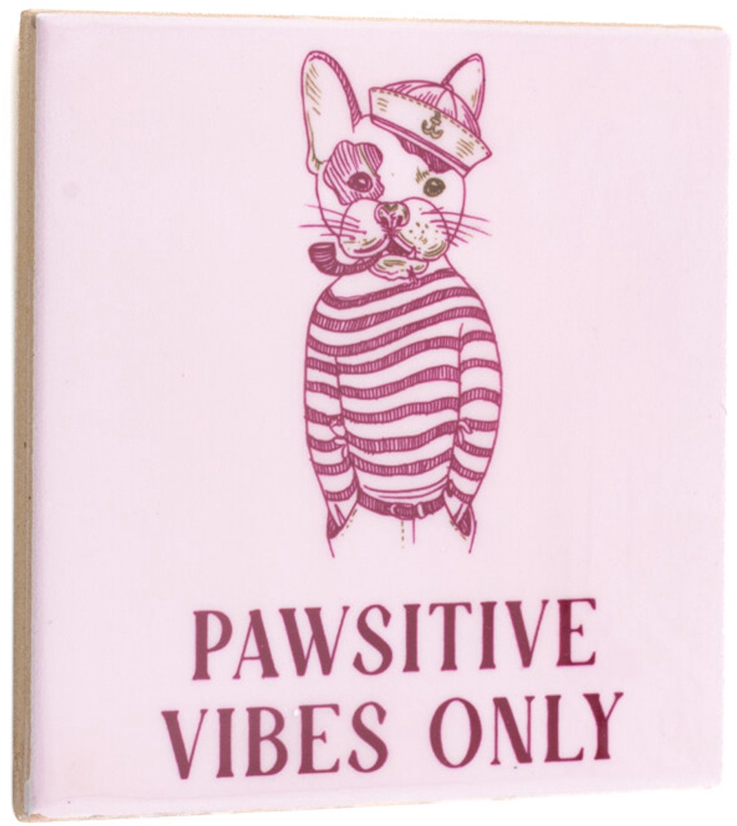 Tegeltje pawsitive vibes