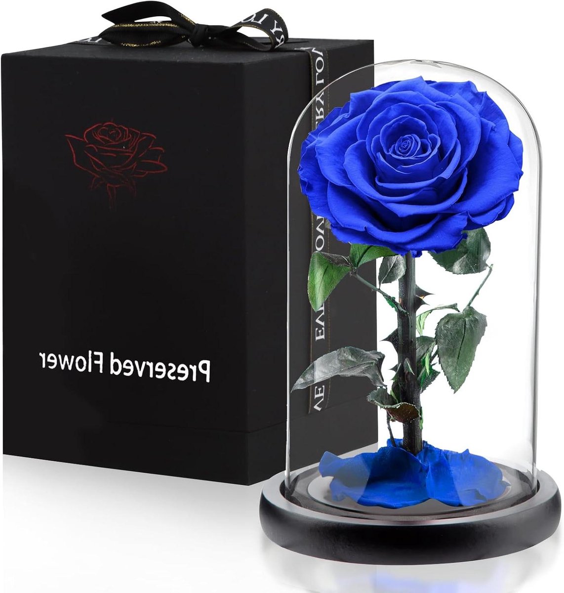 Eeuwige Roos - Glazen Koepel - Cadeau Vrouwen - Echte Conservering - 14 x 24 cm - Donkerblauw