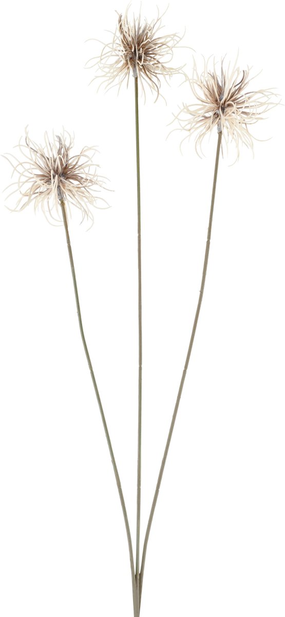 Easyplants | Kunstbloem Xanthium 64 cm creme/bruin | Zijde | Nepbloemen | bruin | Onderhoudsvrij | Kant-en-klaar