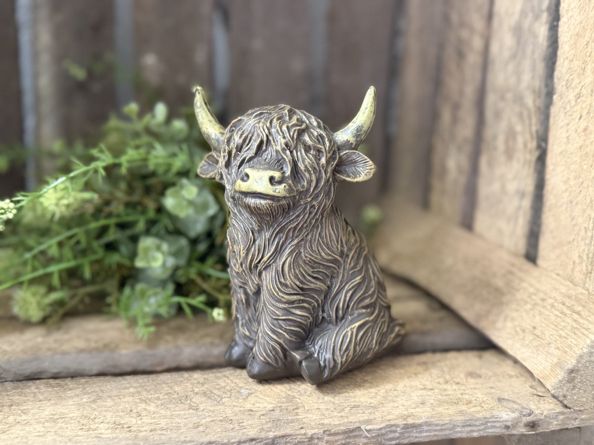 Het Bloemenerf - Landelijke zittende highlander / hooglander - 13cm