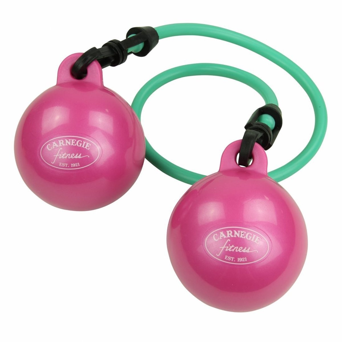 Elzusha - Toning Weight Ball Fitness Band Set - Inclusief DVD en Poster