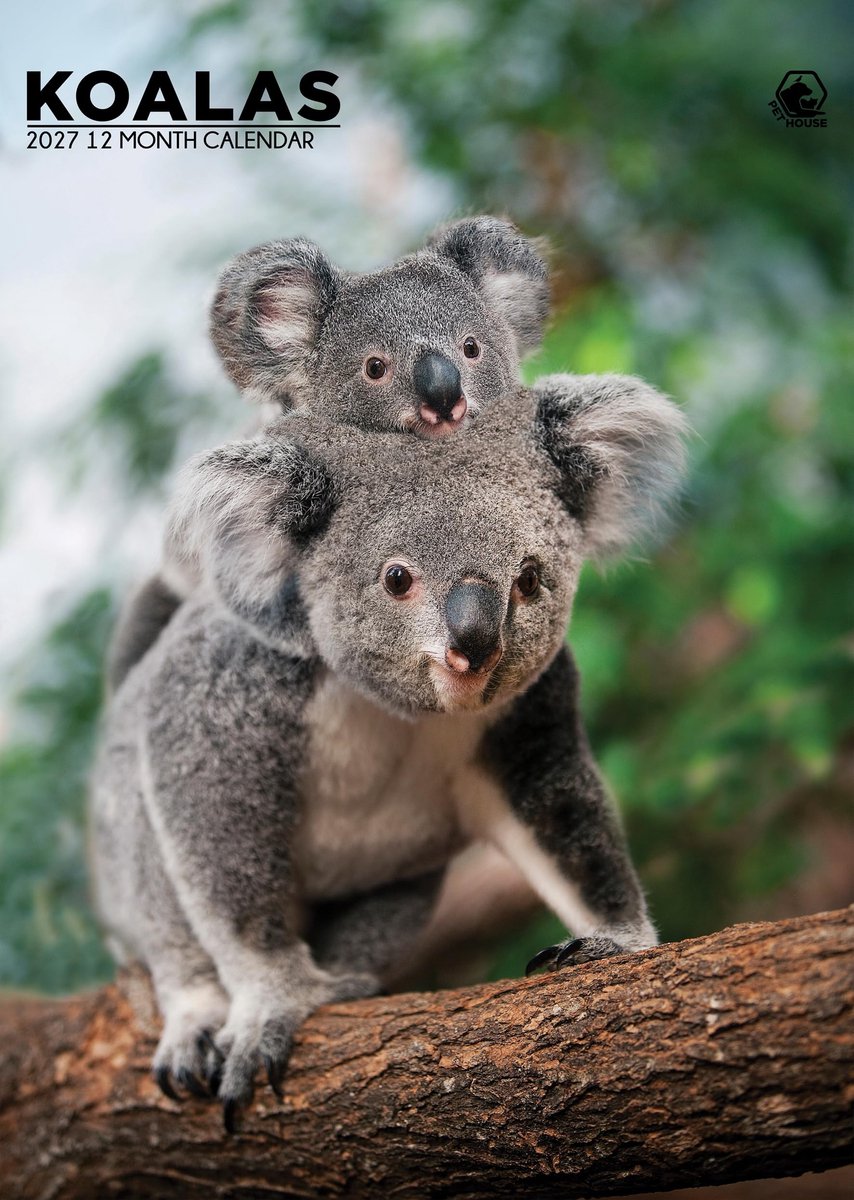 Elzusha - A3 Kalender met Koala's 2027