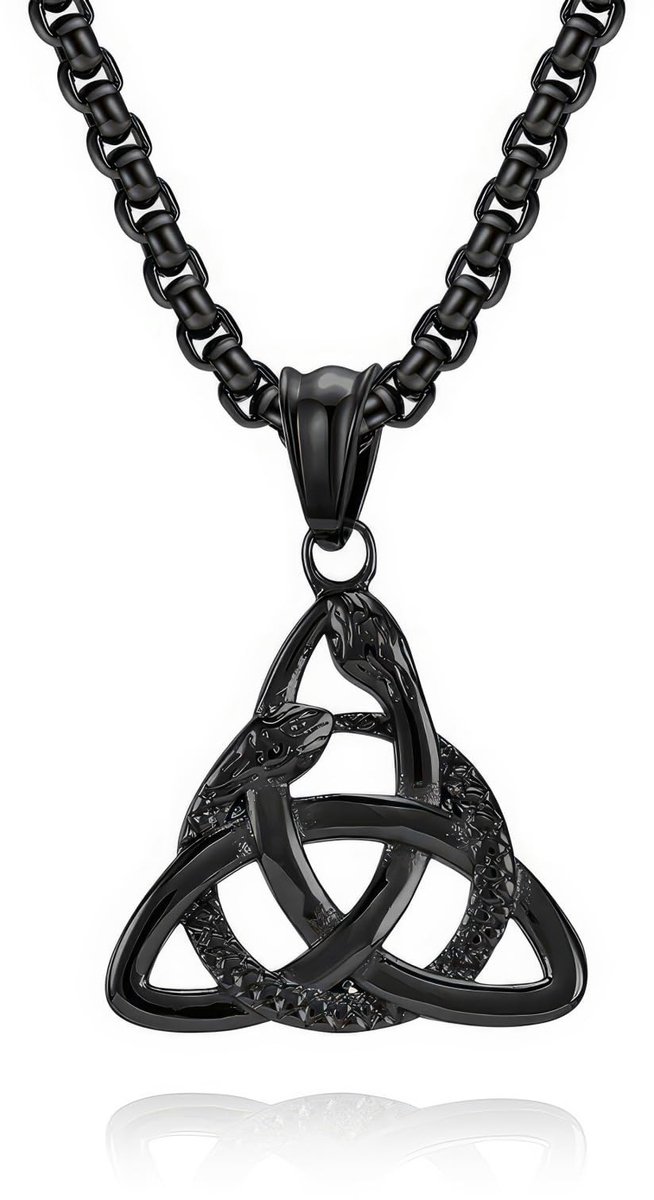 Elzusha - Stalen Herenketting met Slang Pendant en Viking Symbool