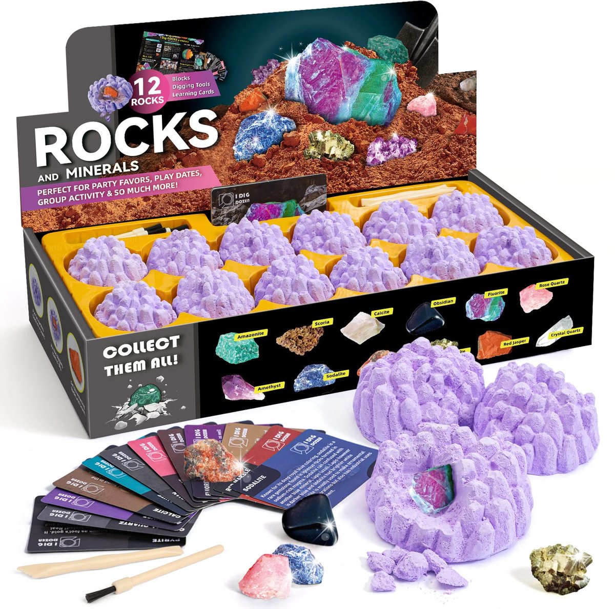 Elzusha- Edelstenen Opgravingsset - 12 Mineralen - Mineralogie Speelgoed - Archeologie Set - Ontdekken voor Kinderen - Cadeau voor Jongens en Meisjes