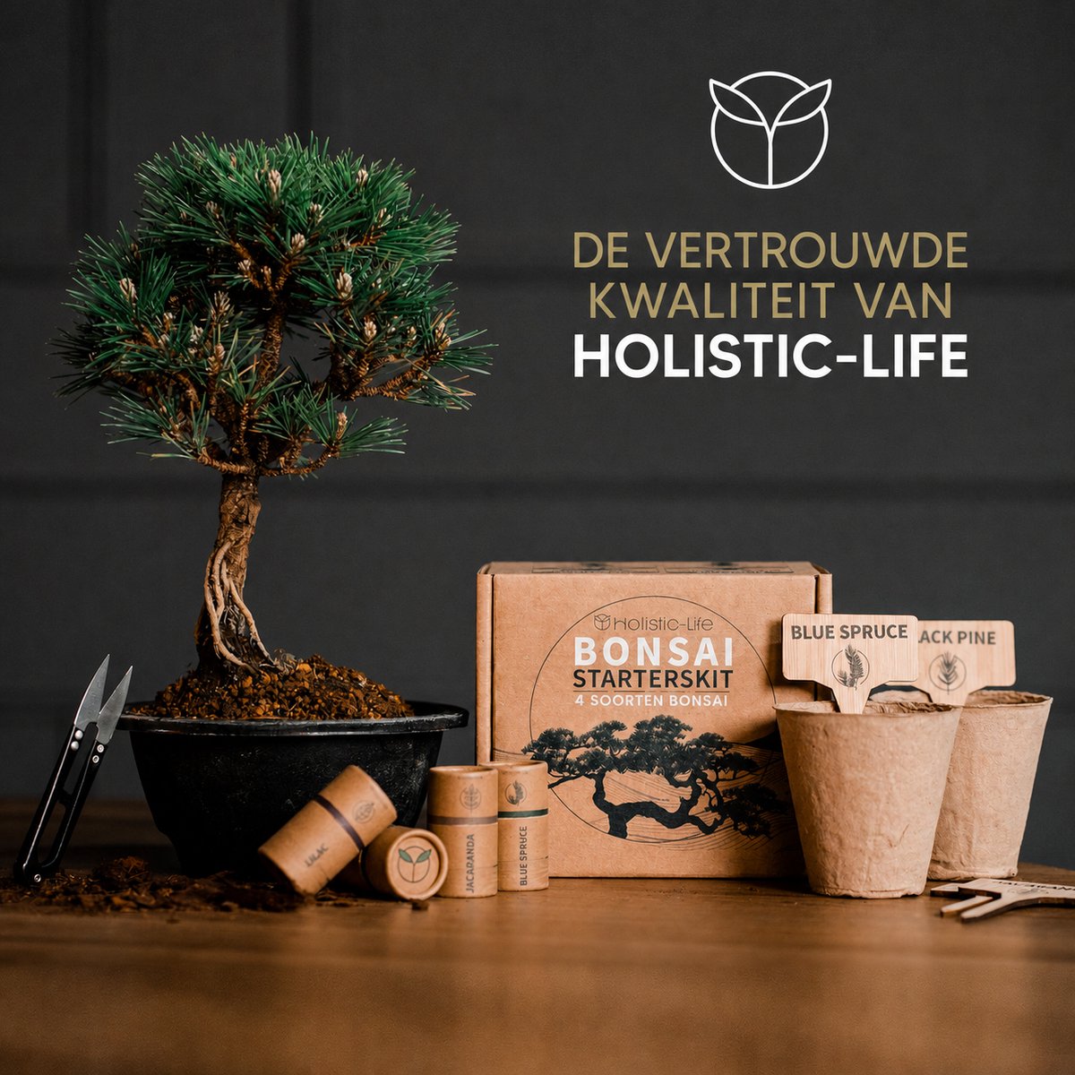 Bonsai Starters Kit met Uitgebreide Instructies – Bonsai Zaden Kit – Binnen Boompje Kweken – Kamerplanten – Kweekset Cadeau - Geschenkset — cadeau in Hobby - foto 8