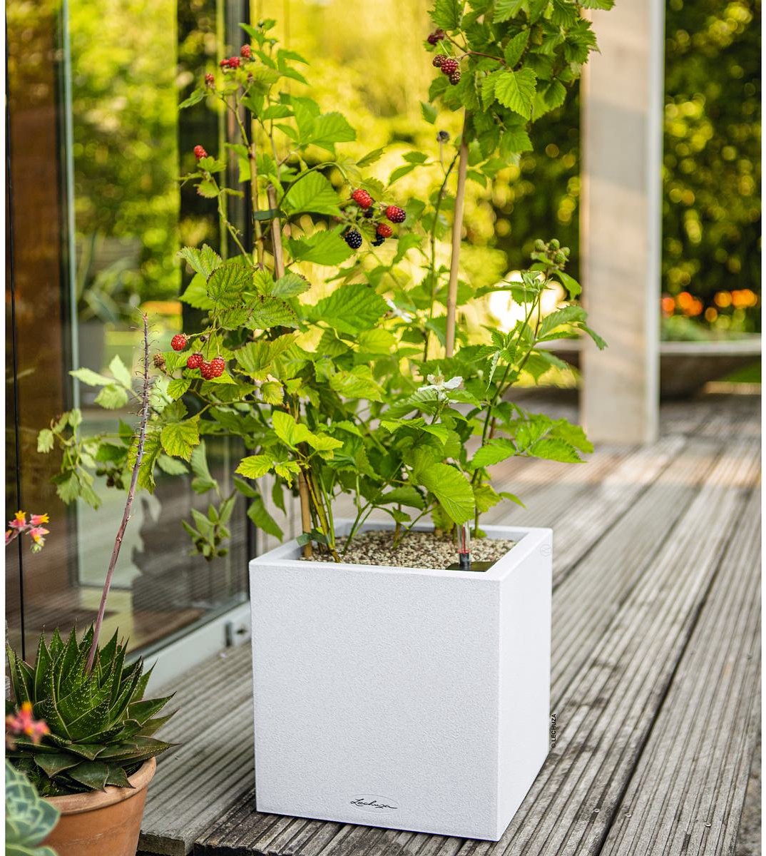 Lechuza Canto Stone 30 low - planter - with removable inner pot