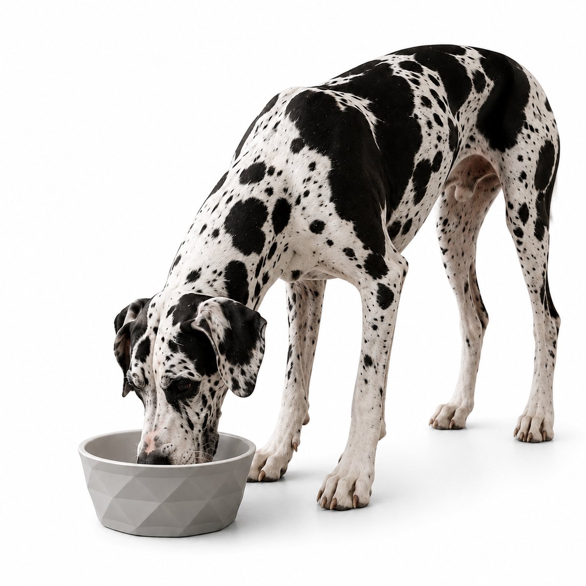 belviona Keramische voerbak hond, antislip & vaatwasserbestendig, 1900 ml mat donkergrijs/lichtgrijs