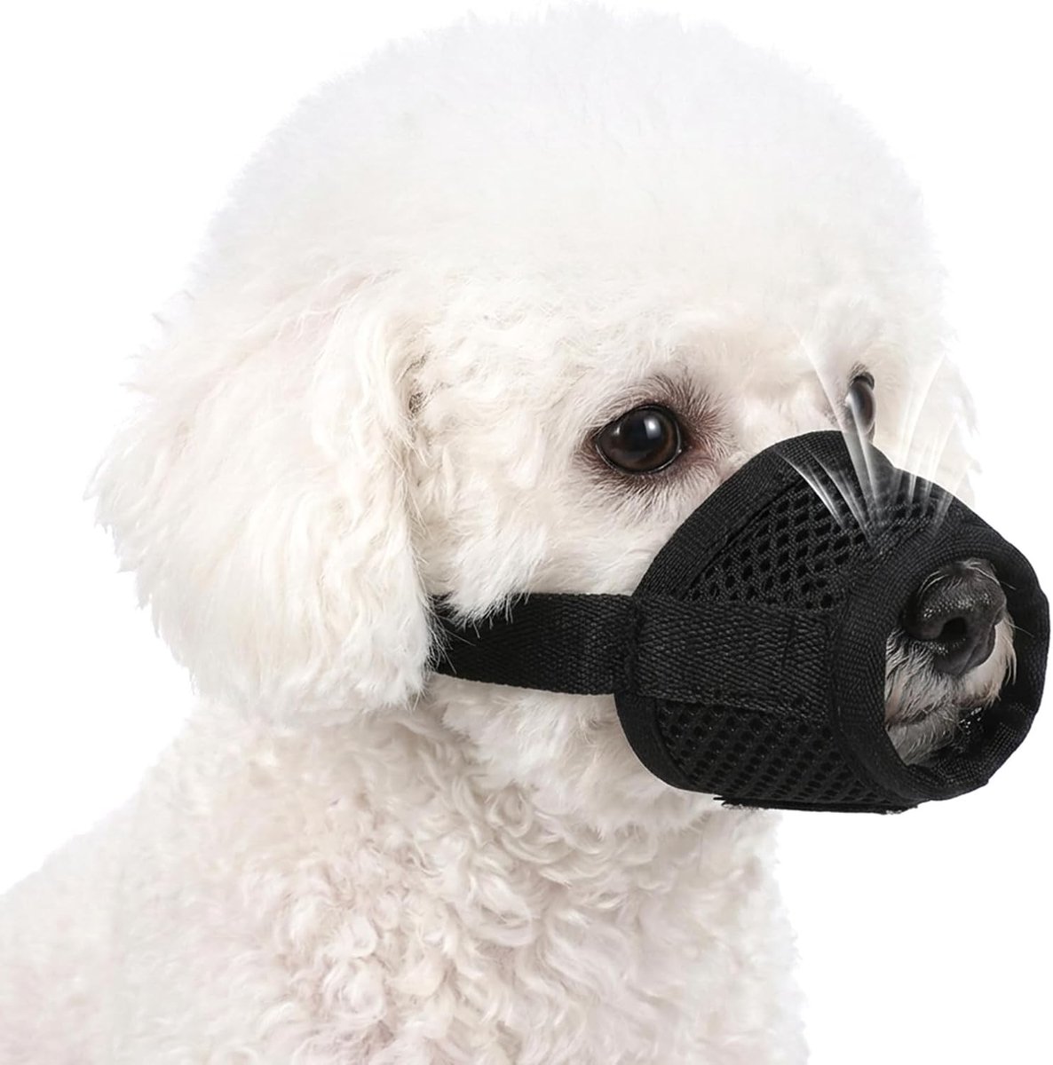 Hondenmuilkorf voor Kleine Honden - Bescherming tegen Giftige Aas, Ademend en Zacht Mesh voor Chihuahua, Poodle en Husky (XS, 9-12cm)