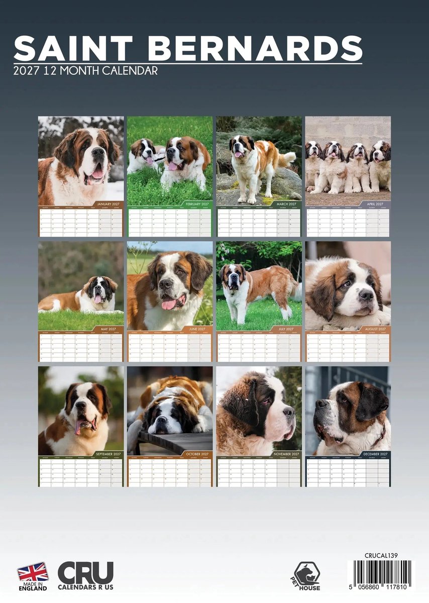 Sint Bernard A3 Kalender 2027