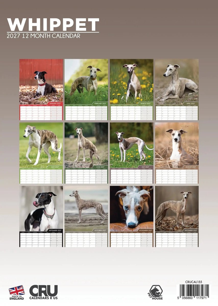 Whippet A3 Kalender 2027
