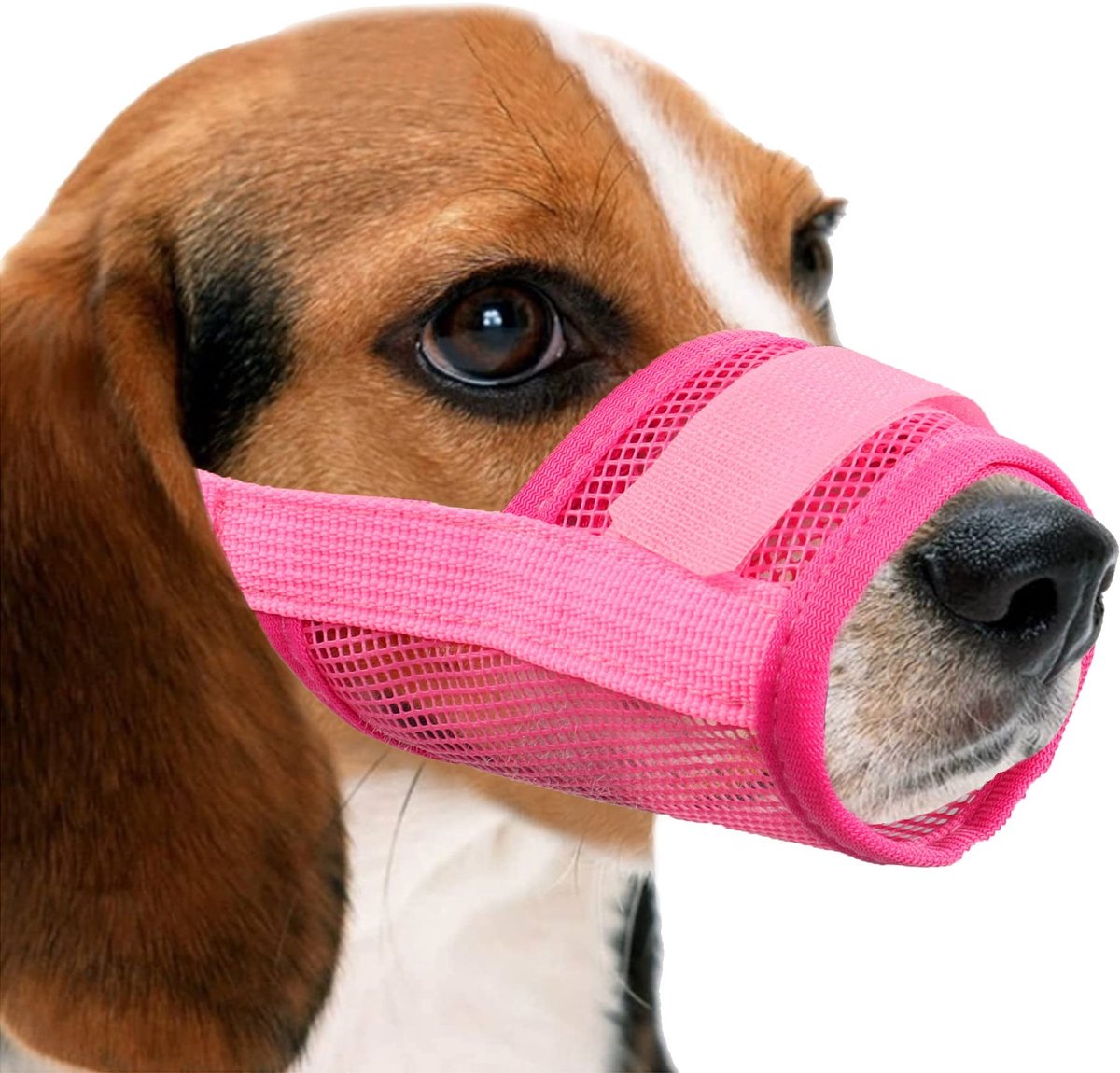 Elzusha - Ademend Hondenmuilkorf van Nylon Mesh met Verstelbare Bandjes