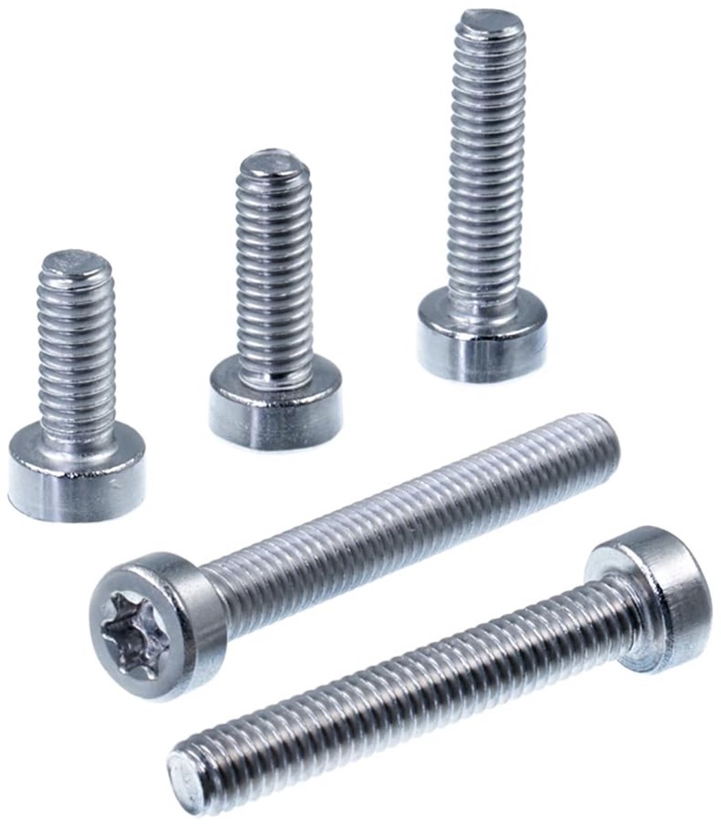 Elzusha - Low Head Cylinder Schroef M2.5 x 18 mm - V2A VA A2, Volledige Draad, 20 Stuks