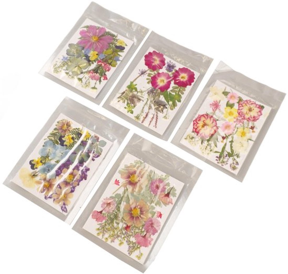 Jhubersproducts - Gedroogde Geperste Bloemen - Knutselset - 5 Zakjes - Echte