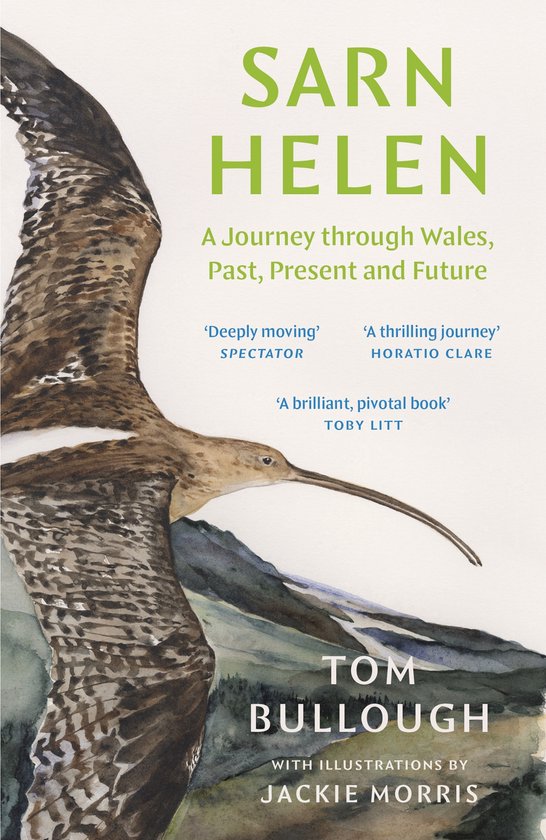 Livre "Sarn Helen" avec un oiseau aux plumes brunes et blanches et un long bec au premier plan. Arrière-plan avec des collines vertes et du texte.