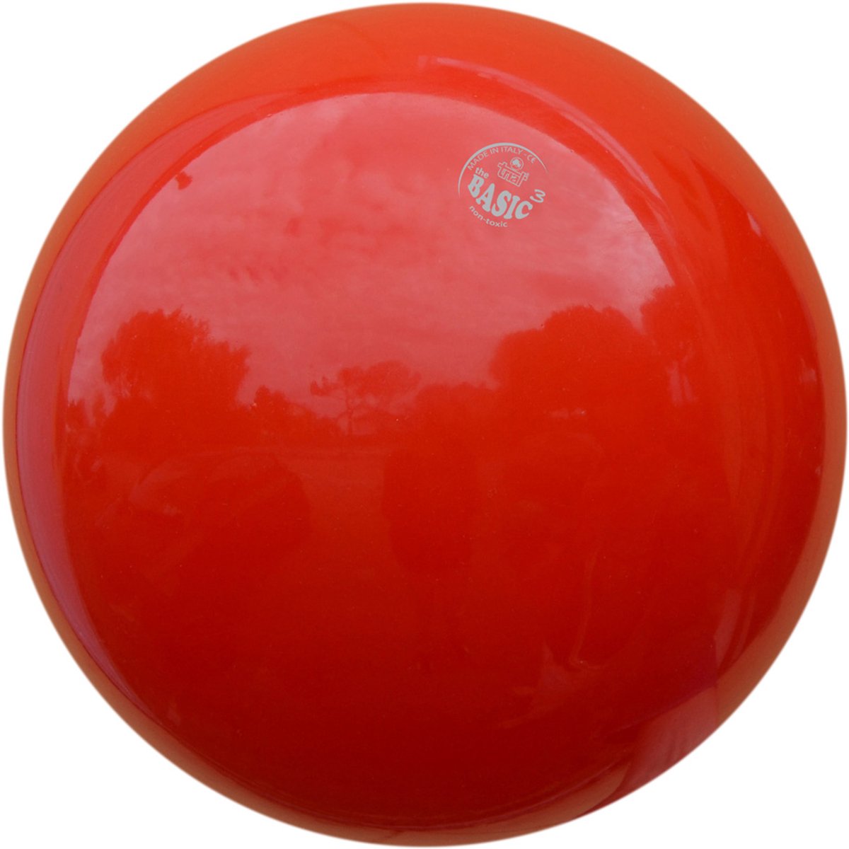 Speelbal Trial Basic BS3 24 cm