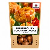 Tulpenbollen Gudoshnik Double – 20 Stuks | KH Bloembollen® | Geel, Oranje & Rode Dubbelbloemige Tulpen – Voor Tuin of Pot – Maat 11/12 – Vers van de Teler!