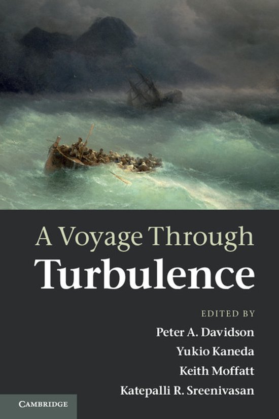 Het omslag van 'A Voyage Through Turbulence', met een schilderij van een stormachtige zee en een boot in gevaar.