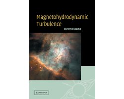Magnetohydrodynamic Turbulence